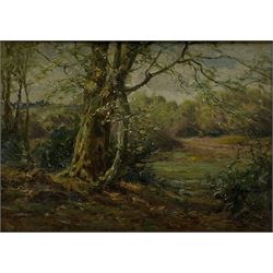 Frederick Golden Short (British 1863-1936): Wooded Landscape, oil on artist's board signed 20cm x 29cm
