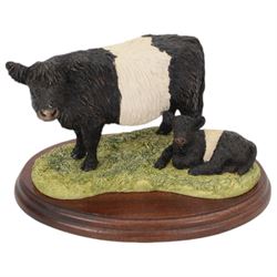 Border Fine Arts Belted Galloway Cow and