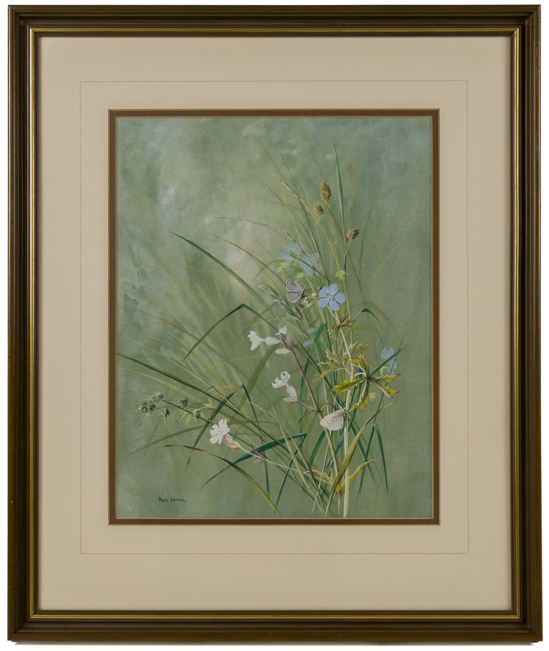 Ann Soper (British 20th century): Butterfly among Wildflowers, gouache signed 35.5cm x 28cm