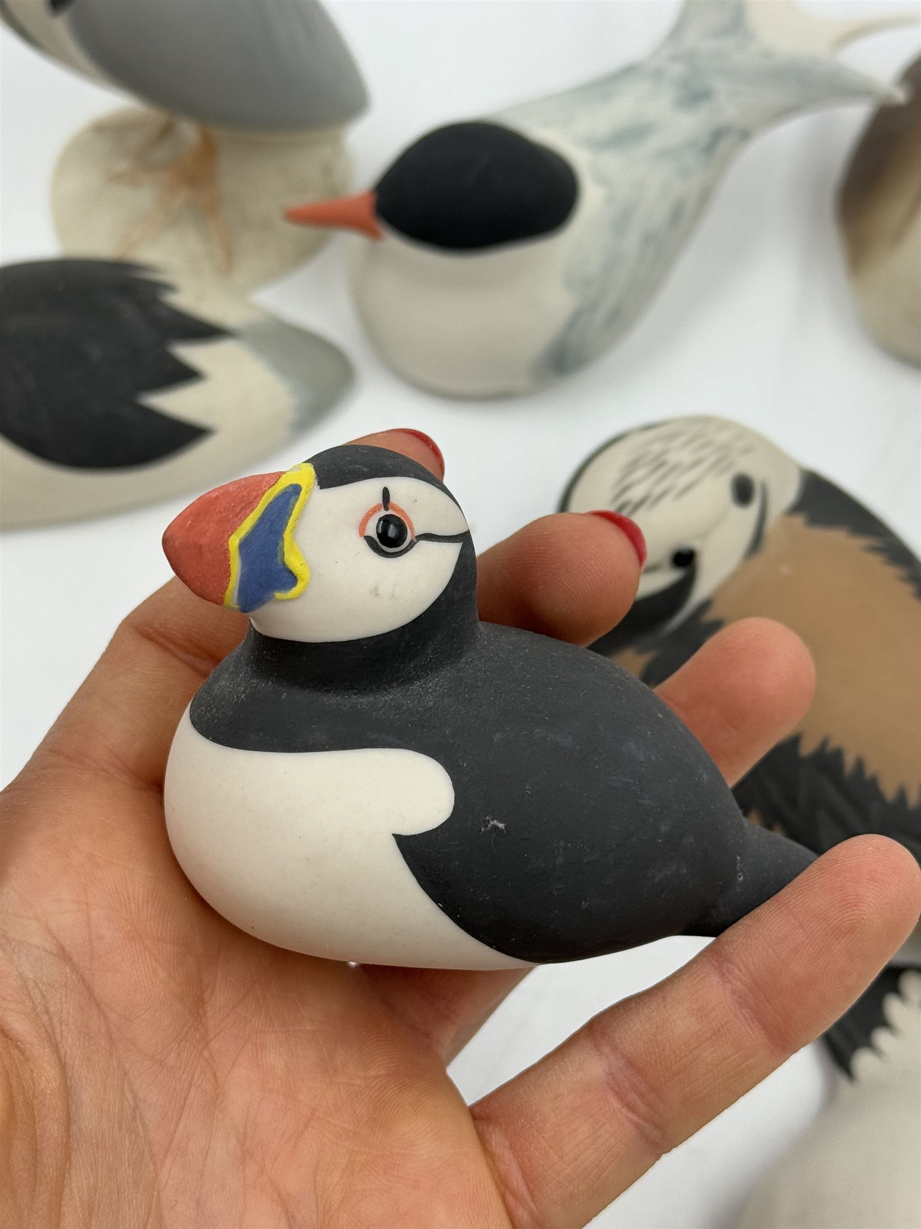 Group of eleven Scottish 'Isle of Arran' bisque porcelain birds, to include Great Northern Diver, Eider, great Crested Greebe, Artic Tern, King Penguin, etc.
