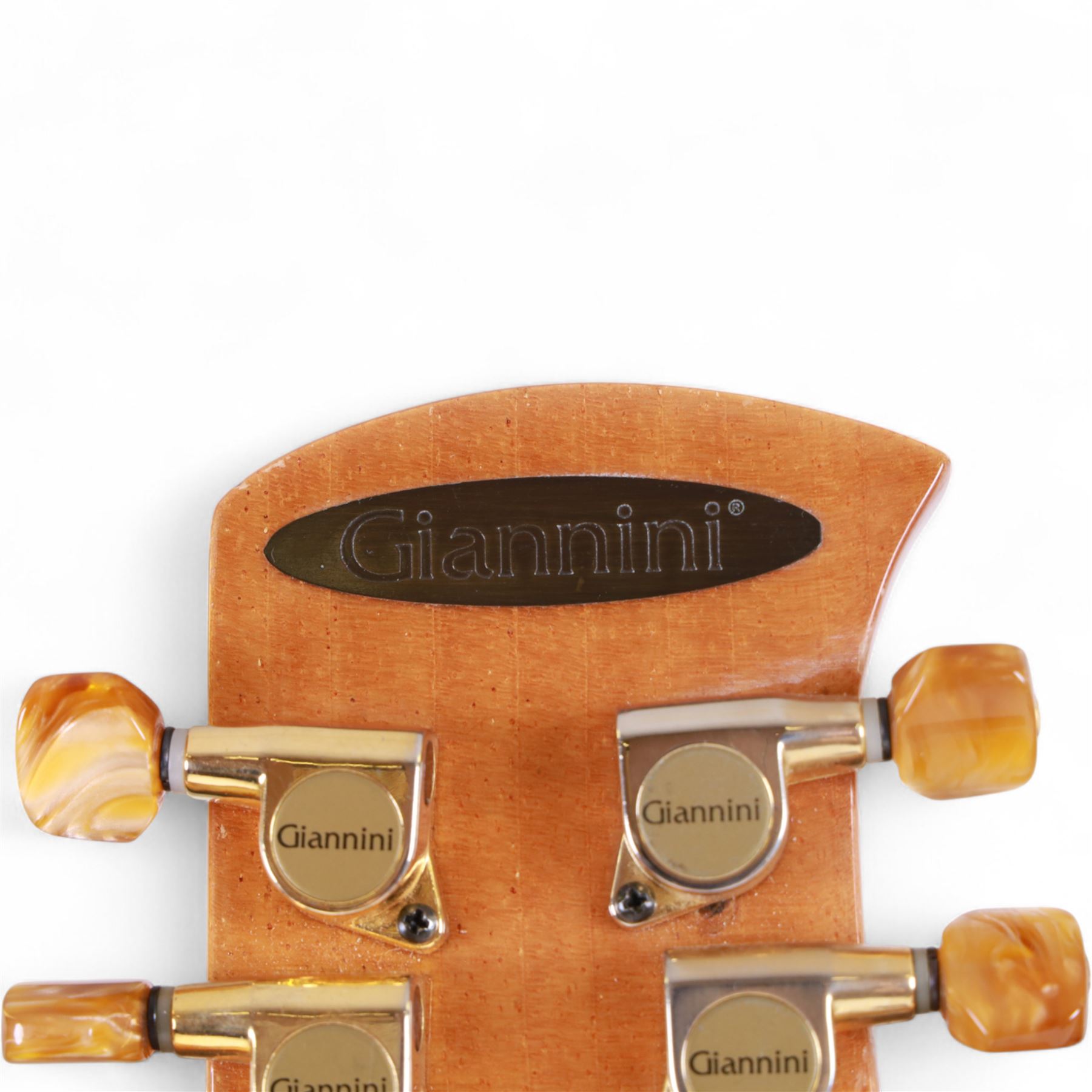 Brazilian Giannini Craviola twelve string acoustic guitar, with Fishman Premium Blend onboard pickup, serial no. 000019116, in fitted hard case