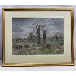 Angus Bernard Rands (Yorkshire 1922-1985): Autumn Landscape, pastel signed 44cm x 63cm 