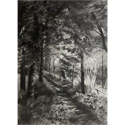 Andy Hawkins (British Contemporary): Shaded Woodland Path, charcoal signed 78cm x 56cm 