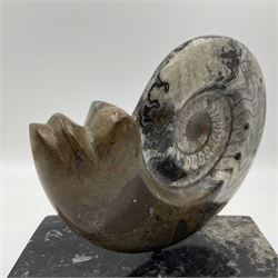 Goninite sculpture, poslised goninite, mounted upon a rectangular marble base with with orthoceras and goniatite inclusions, age: Devonian period, location: Morocco, H20cm