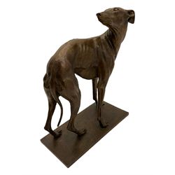 Sally Arnup FRBS, ARCA (1930-2015): Whippet Standing, bronze, signed and numbered VIII/X, upon short rectangular plinth, overall H63cm L49cm W23.5cm 


