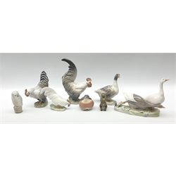 Eight Royal Copenhagen figures, cockerel 1025, hen 1024, group of two geese 609, robin 2266, squirrel 982, cockerel 1127, goose 1088 and owl 1741.  