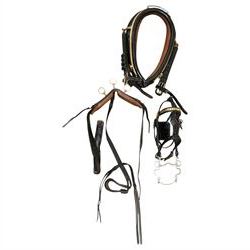 John McDonald - team set of black leather and brass harness, including four black patent leather collars (24