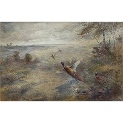 James Stinton (British 1870-1961): Pheasants Breaking Cover, watercolour signed 17cm x 26cm