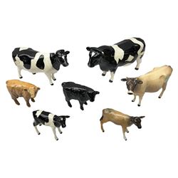 Seven Beswick cow figures, to include Friesian bull Ch. ''Coddington Hilt Bar'' no. 1439a, Friesian cow Ch. 'Claybury Leegwater' no. 1362a and Friesian calf no. 1249C, Aberdeen Angus calf 1827a, Jersey cow no. 1345 etc, all with printed mark beneath  