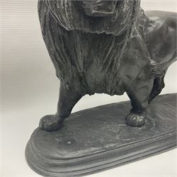 After Paul Edouard Delabrierre (French, 1829-1912), bronze, model of a lion, upon an oval base, signed E Delabrierre, overall H29.5cm, L46cm