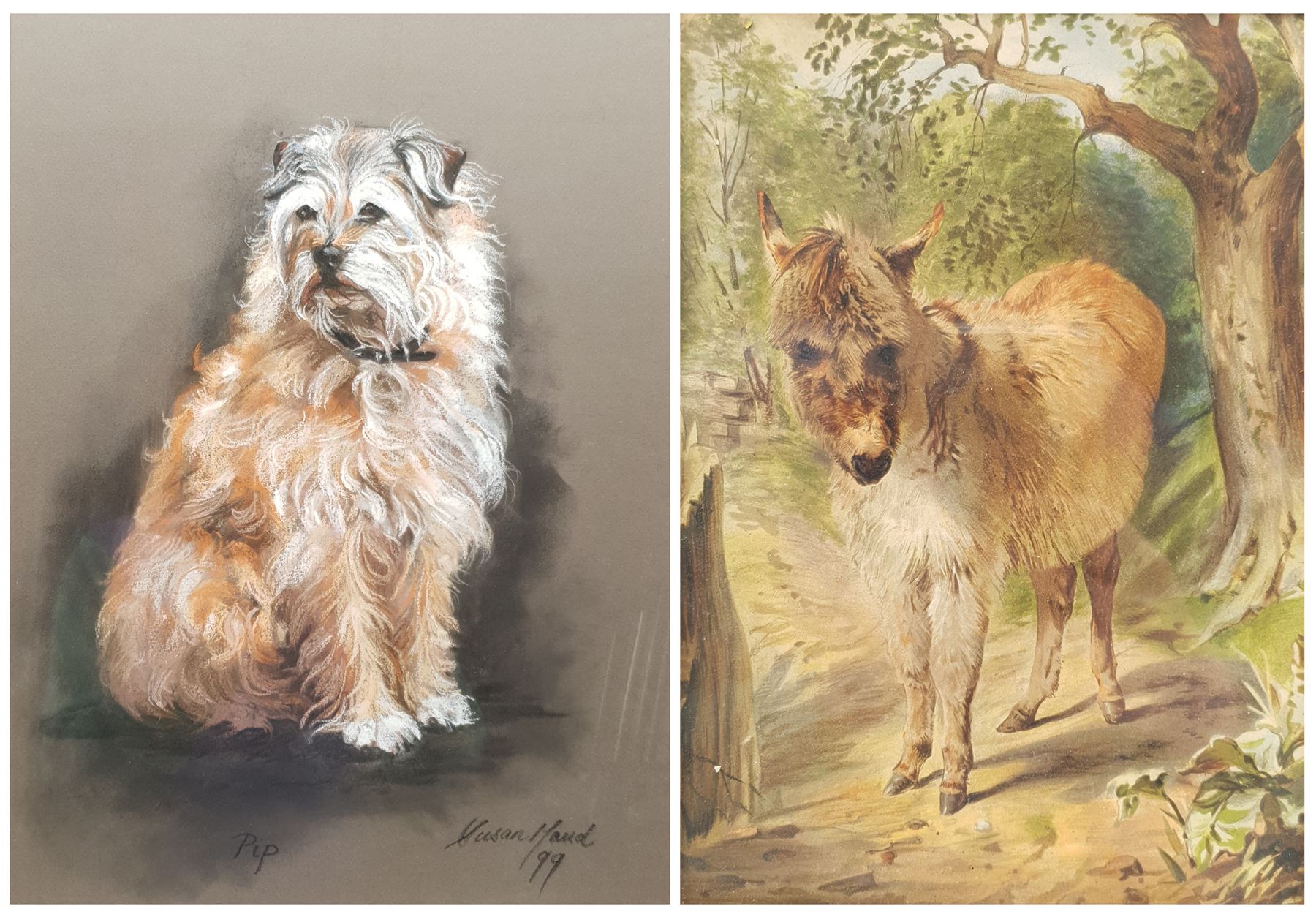 Susan Maud (British 20th century): 'Pip' - Portrait of a Terrier, pastel signed titled and dated '99, 43cm x 32cm, and a 19th century watercolour of a donkey 20cm x 15cm