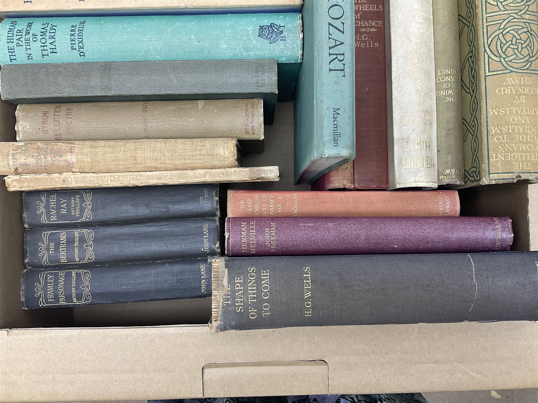 Large collection books, to include The Grapes of Wrath, John Steinbeck, Nine volumes Thomas Hardy, Pan, Knut Hamwsum etc, in five boxes   