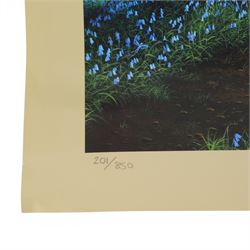 Danny Flynn (British 1958-): digital print of for a 90s TV show that never came to air featuring Danny Flynn in the centre and Arthur C Clarke looking on, two limited edition signed prints of a bluebell wood, two further signed limited edition prints of birds in surreal landscapes and a collection of postcards, three prints framed, largest H34cm

Notes: This item is from the private collection of Arthur C. Clarke's brother.