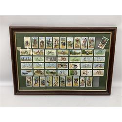Top hat by Tress and co, in a fitted leather case, together with a framed set of 50 players cycling cigarette cards.