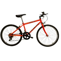 raleigh shopper style small wheel folding bicycle and boys mountain type bicycle - THIS LOT IS TO BE COLLECTED BY APPOINTMENT FROM DUGGLEBY STORAGE, GREAT HILL, EASTFIELD, SCARBOROUGH, YO11 3TX