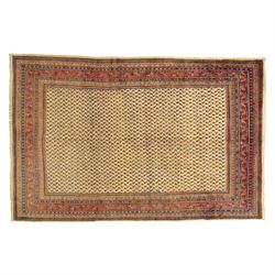 North West Persian Arak hand-knotted carpet, ivory ground densely decorated with an all-ov...