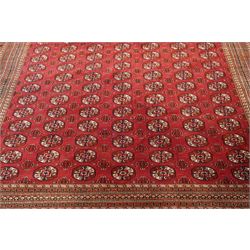 Large Afghan Bokhara crimson ground carpet, the field with rows of repeating Gul motifs and geometric design, enclosed by multiple repeating geometric guard bands