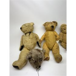 Quantity of early wood wool filled teddy bears for restoration.