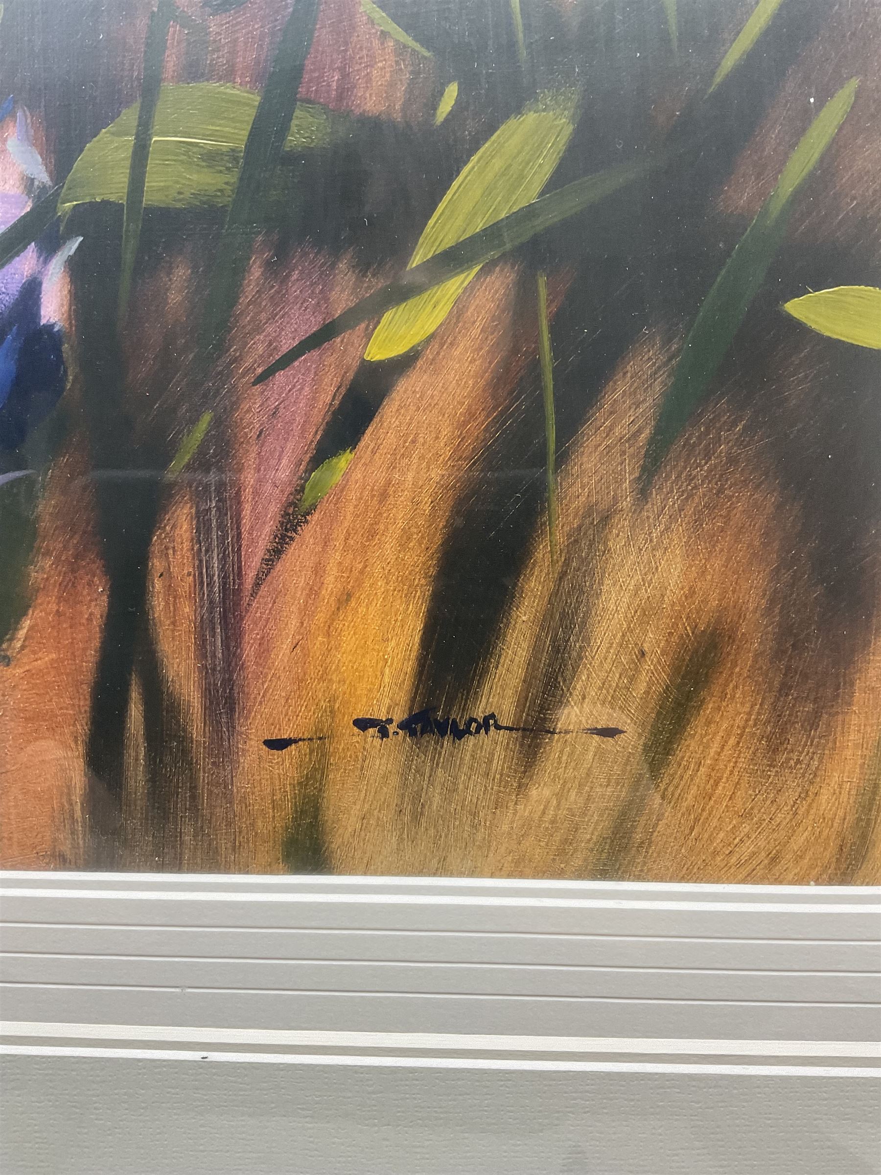 Jeremy Taylor (British 1957-): Floral Still Life, oil on board signed 47cm x 37cm 