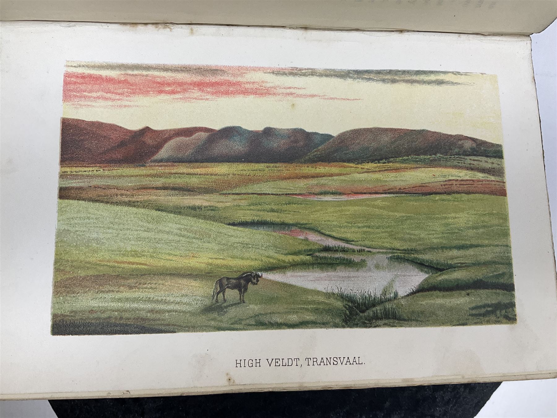 Frank Oates; Matabele Land and the Victoria Falls: A Naturalist`s Wanderings in the Interior of South Africa edited by C.G.Oates second edition, with half-title mounted engraved portrait, chromolithographed plates, lithographed natural history plates, folding engraved maps with partial hand-colouring plain plates and illustrations