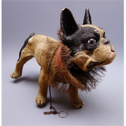  Early 20th century French papier-mache barking bulldog automaton, probably by Roullet and Decamps, flock covered in cream and black with well moulded detail to ribs and muscular frame, brown glass eyes and hinged mouth with moulded teeth and tongue, red collar and bristles to neck, with pull chain to operate nodding head and activate mouth with bark, the legs terminating with wooden casters L43cm H35cm  