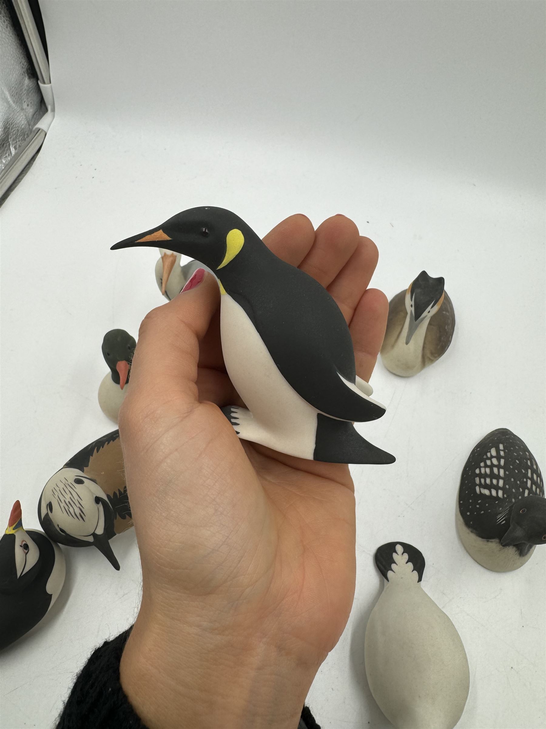 Group of eleven Scottish 'Isle of Arran' bisque porcelain birds, to include Great Northern Diver, Eider, great Crested Greebe, Artic Tern, King Penguin, etc.
