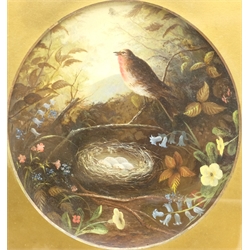English School (19th century): Robin's Nest among the Flowers, oil painted on a pottery charger unsigned, 25cm diameter