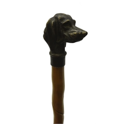  Early 20th century Malacca walking cane with carved spiralled decoration and brass pommel moulded as a pointer dog, L103cm   