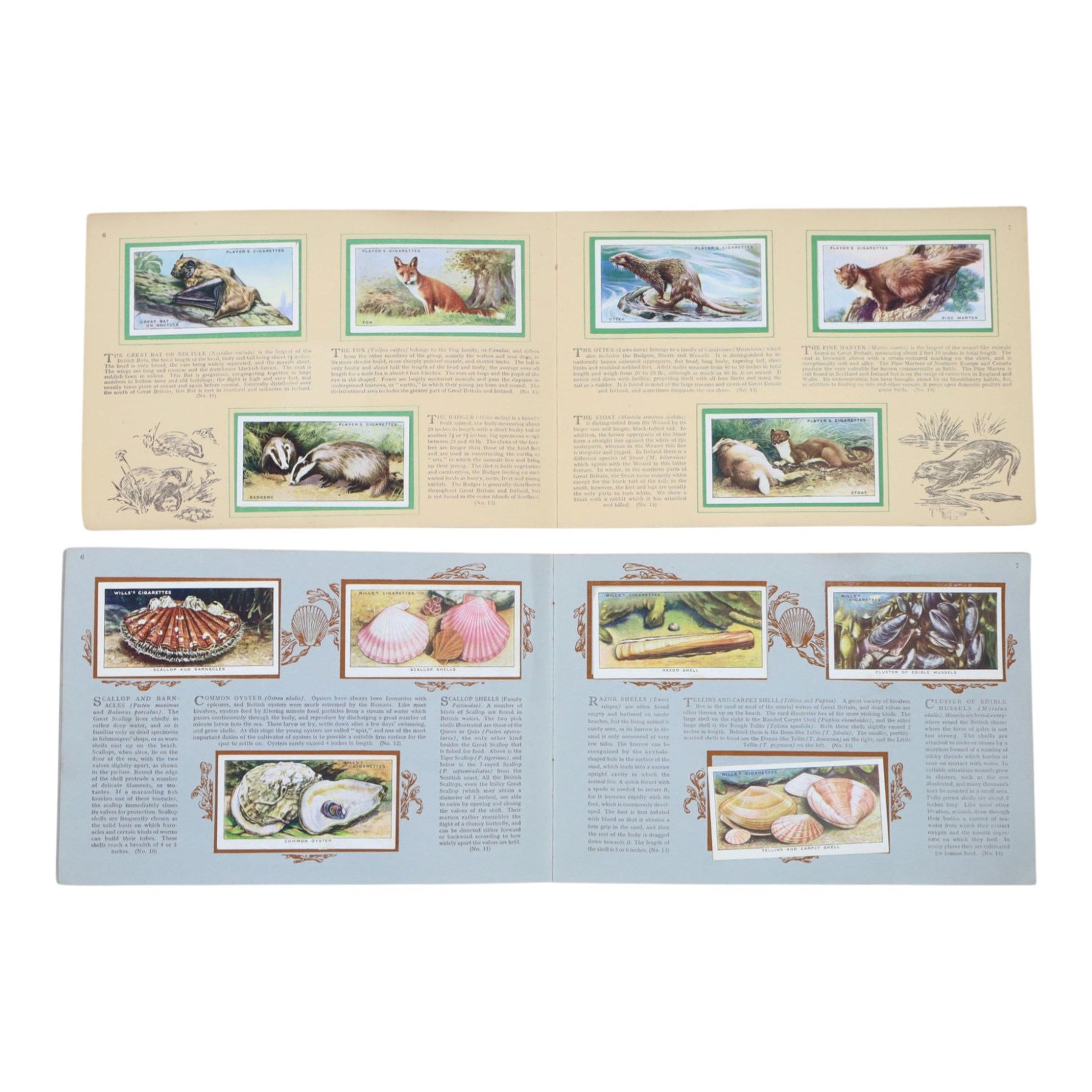 Collection of 20th century birthday cards and similar, together with children birthday cards, cigarette card albums and scrap book containing newspaper cuttings, programs and prints  