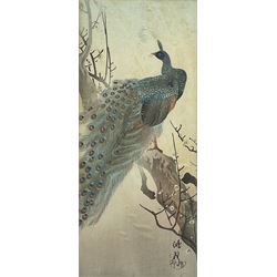 Japanese School (20th century): Peacock and Finch in Cherry Blossom Tree, two colour wood block prints max 37cm x 16cm (2)