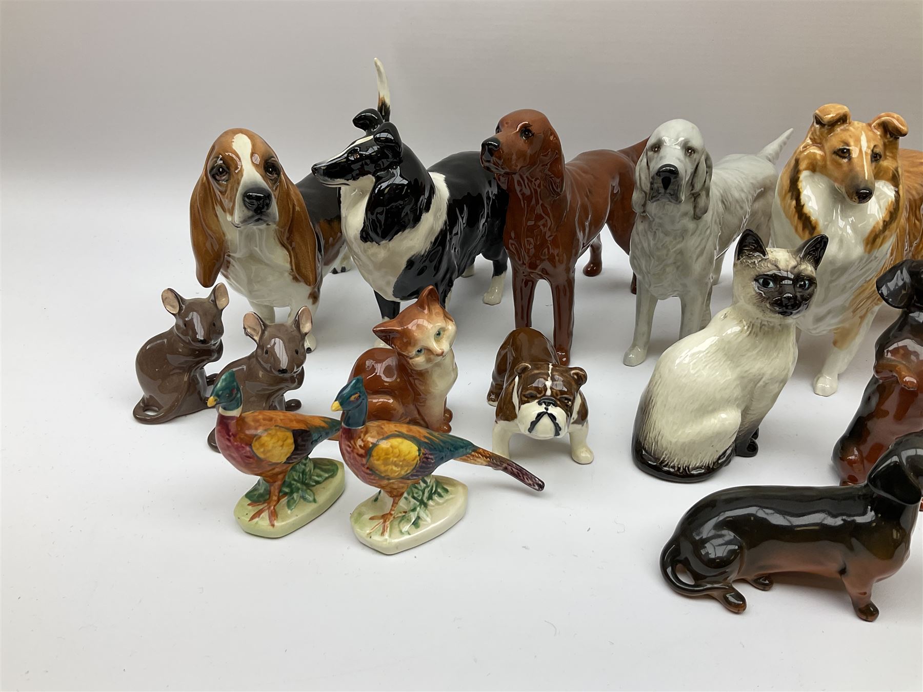Beswick figures to include, english setter 'Bayldone Baronet', model no 973, collie, model no 1791, sheepdog, model no 1792, black labrador, model no 1548, Irish red setter, model no 966, Connoisseur Beagle on a wooden plinth 1933B, frog in cream matt, model no 368, etc 