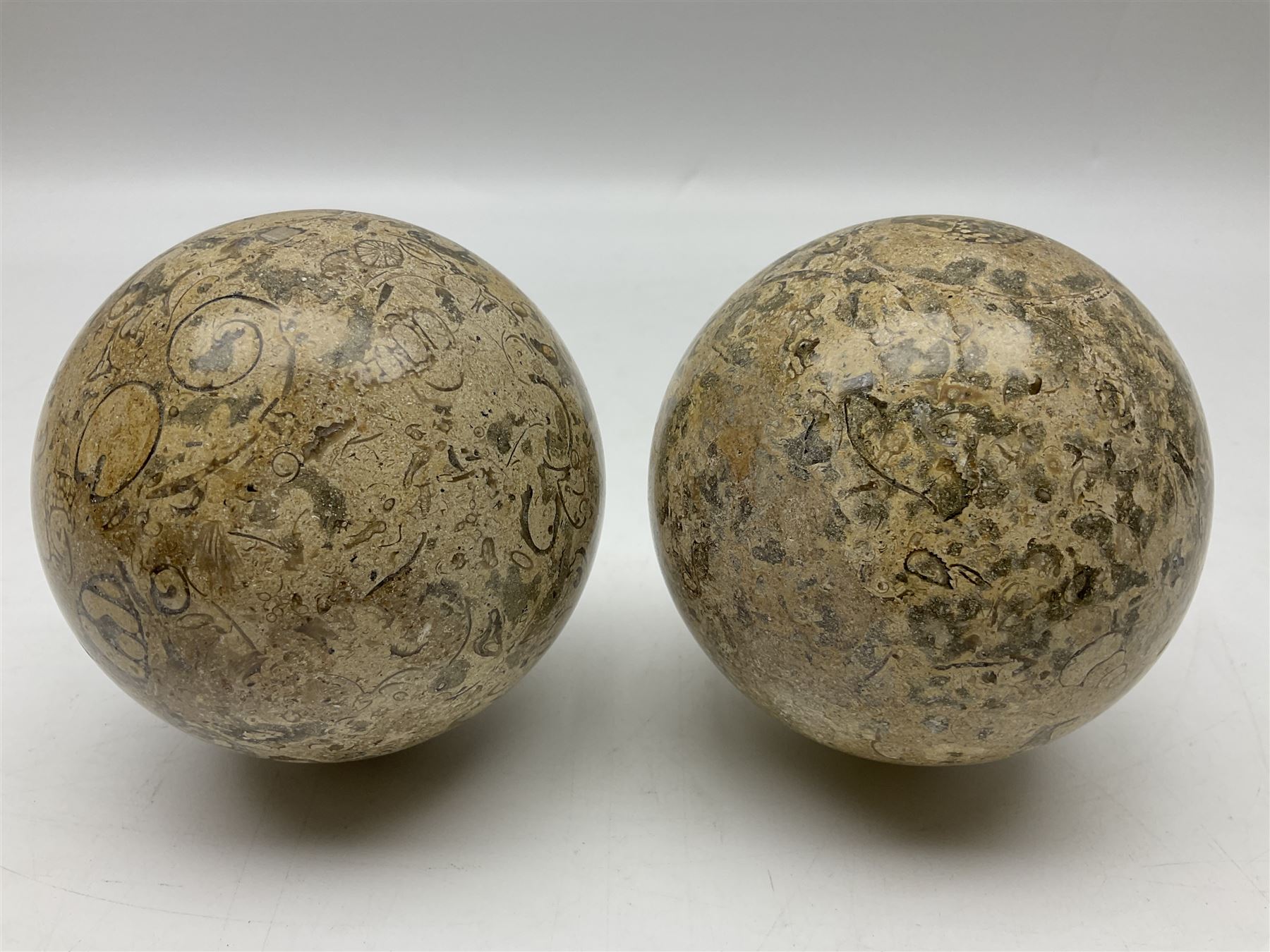 Pair of fossilised coral spheres, D12cm