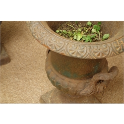  Pair 20th century small cast iron garden urns, with moulded rim details and handles, D32cm, H43cm  