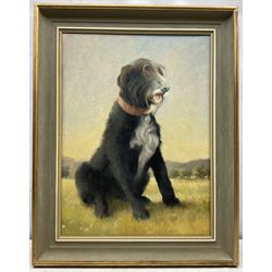 Jon Peaty (British 1914-1991): 'Sir George' - Portrait of a Dog, oil on canvas unsigned, titled verso with artist's studio label 60cm x 44cm