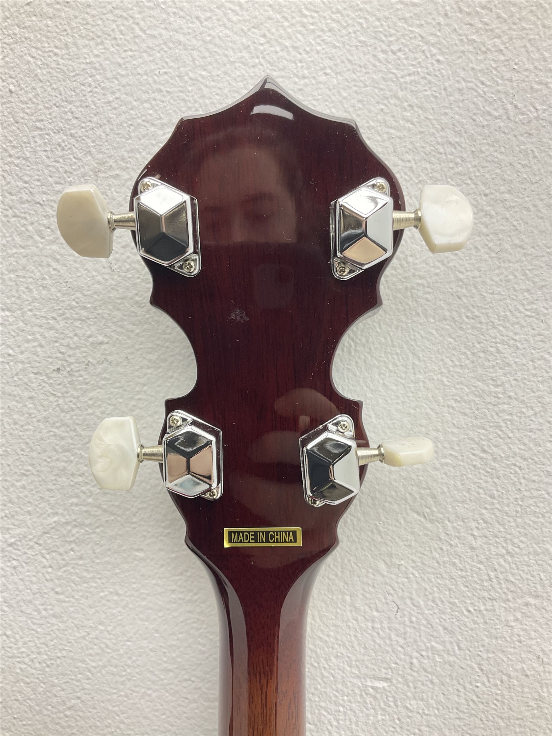 Rally five-string banjo with mahogany solid back L101cm in soft carrying case; and Brunswick Model BF200 acoustic guitar L103cm; with small quantity of instructional DVDs and booklets