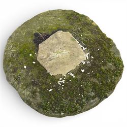 Millstone Along with 19th century stone trough