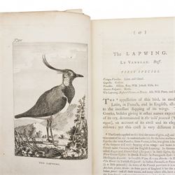 Buffon, Georges Louis le Clerc, Comte de - 'The Natural History of Birds', from the French, nine volumes 1st edition in English with engraved plates printed for A Strahan, T Cadell and J Murray, 1793 uniformly bound in tree calf