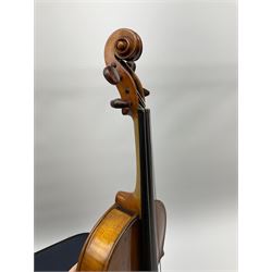 1920s continental large viola with 42cm two-piece maple back and ribs and wide grain sprucewood top with guarnerie sound holes, bears label 'Werner Alajos Budapest', overall length 69cm; in modern carrying case