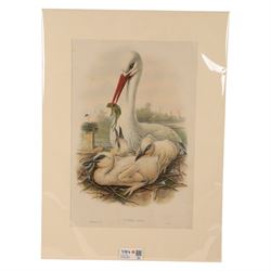 William Cartledge (British 1891-1976): Lake Landscape, watercolour signed 35cm x 52cm; After John Gould (British 1804-1881) and Henry Constantine Richter (British 1821-1902): 'Ciconia Alba' (White Stork), lithograph 51cm x 34cm (mounted) (2)
