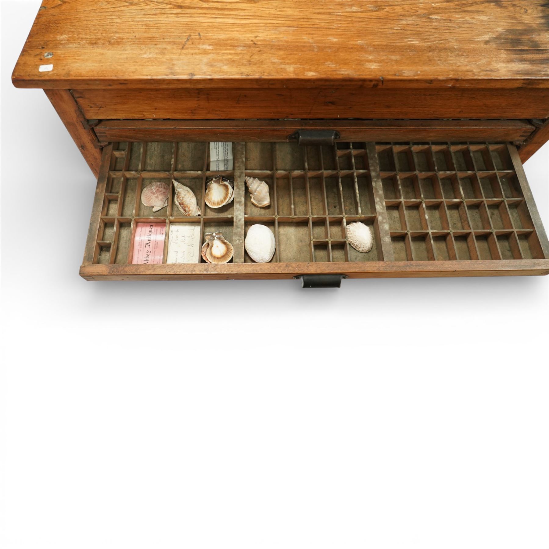 20th century oak printers cabinet, the rectangular top over a bank of twelve shallow drawers each fitted with a metal label handle, the drawers internally compartmentalised and containing an assortment of shells, raised on a shaped plinth base