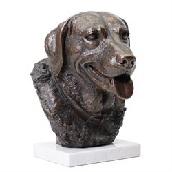 Sally Arnup, FRBS ARCA (1930-2015): Labrador, bronze, signed and numbered III/X, mounted on white marble base, H30cm 