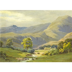  H W***gley (Early 20th century): Lake District scene, oil on board indistinctly signed 29cm x 39cm  