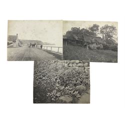 Frank Meadow Sutcliffe (British 1853-1941): Horse and Cart on the front at Sandsend, Mulgrave Cottage and Study of Nettles by a Wall, three 19th century silver prints initialled and numbered in the plate 703, 35 and 223; four albumen of country scenes initialled and numbered in the plate 147, 187, 383 and 435; six albumen studies of countryside vegetation initialled and numbered in the plate 105, 203, 221, 222, 293 and number torn away, all 19th century approx 15cm x 20cm (13)