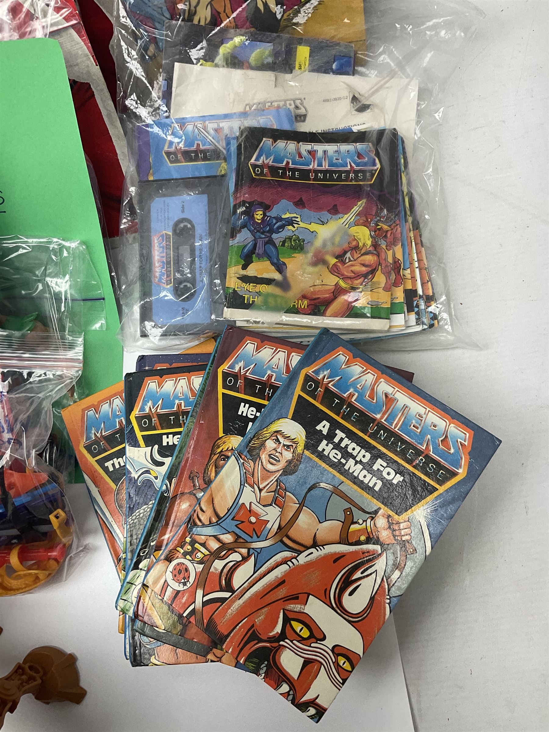 Thirty-one Masters of the Universe He-Man figures re-bagged on original backing cards;  two others lacking backing cards; boxed Modulok figure; bag of weapons and accessories; Roton, two horses and two battle cats; 1986 & 1987 Annuals; Ladybird and other story books; Panini sticker album; instructions etc