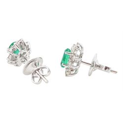 Pair of 18ct white gold emerald and diamond stud earrings, each cluster set with a single oval cut emerald surrounded by ten round brilliant cut diamonds, stamped, total emerald weight approx 0.80 carat, total diamond weight approx 0.55 carat
