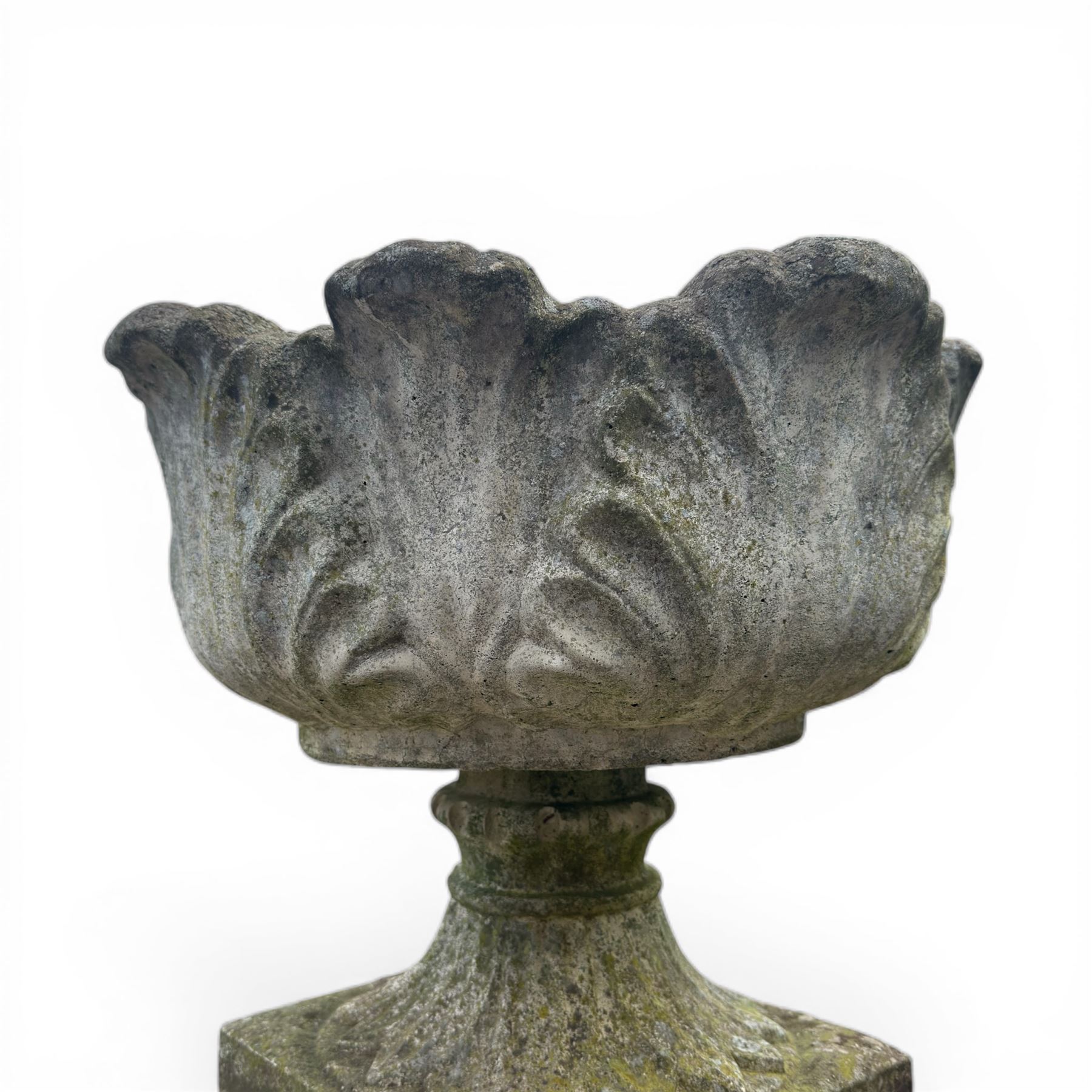 Cast stone ornate garden urn