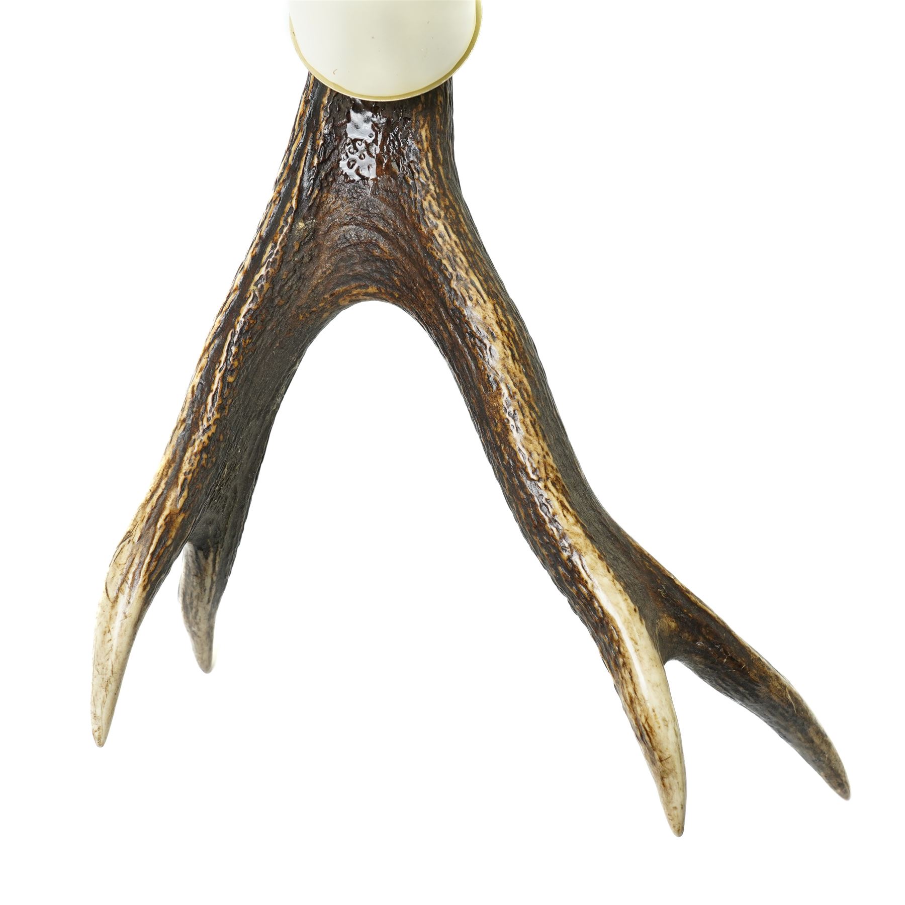 Antlers/Horns -  pair of stags antler candelabra, the six point antlers mounted with two sconces and candles, each approximately W75cm (2)