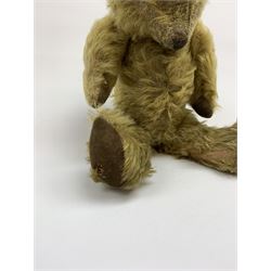 Early 20th century English teddy bear, WW1 period, with wood wool filled mohair body, fixed head with one boot button eye and vertically stitched nose and mouth and jointed limbs with cloth paw pads H16