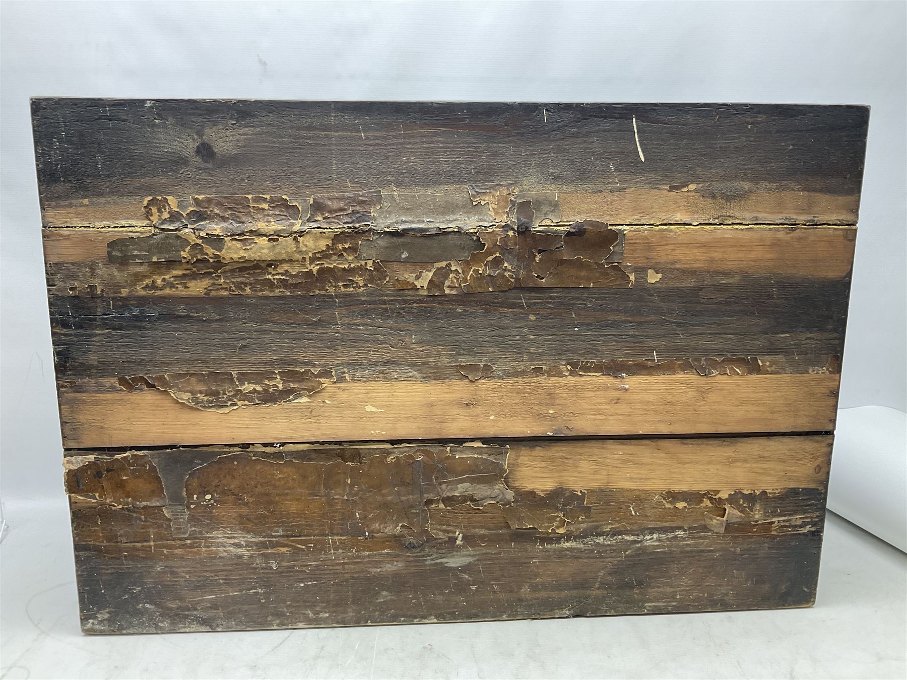 Taxidermy; cased bird diorama, to include Red-neck Pheasants (Phasianus colchicus) adult mounts hen and cock, Common Kestrel (Falco tinnunculus), Common Blackbird (Turdus merula), Starling (Sturnus vulgaris) and others,  in a naturalistic setting, encased within a single pane display case, H66cm, L97cm