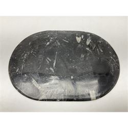 Large oblong platter, together with a matching smaller platter, both with Orthoceras and Goniatite inclusions, age: Devonian period, location: Morocco, larger platter L46cm, D29cm 